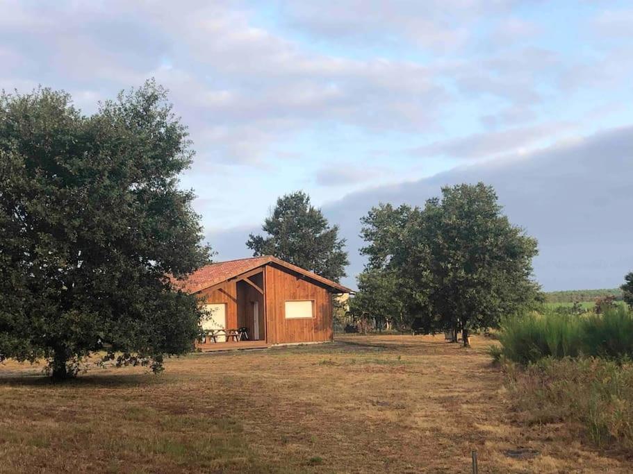 Villa Chez Floflo Rion-Des-Landes Exterior foto